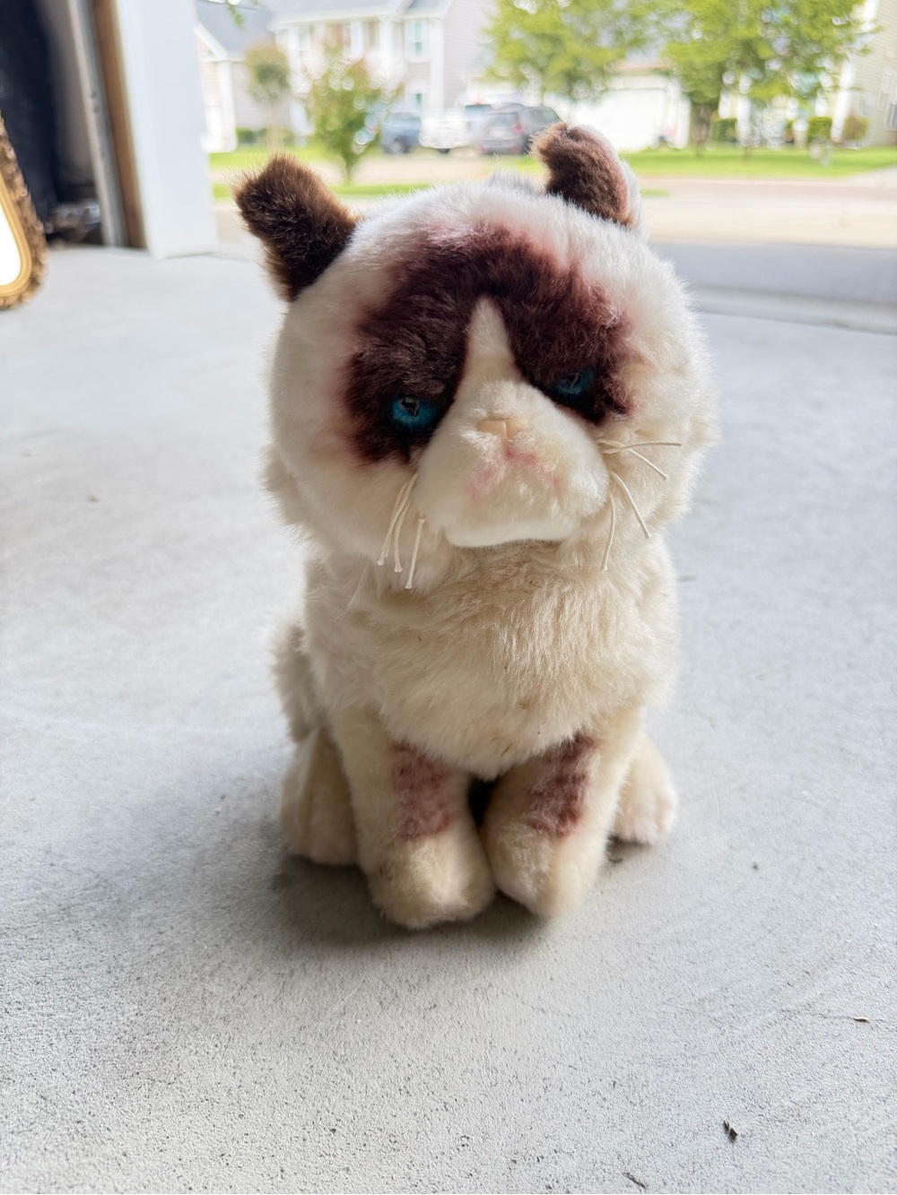 GUND Grumpy Cat Plush 4040133 9” Stuffed Animal Blue Eyes Official Meme Cat